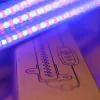 Növénynevelő LED modul szett , 3 x 4W, 3 x 42 LED , 3 x 30 cm , USB véggel , piros/kék fény , időzíthető , dimmelhető , LEDISSIMO GROW