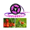 Növénynevelő LED szalag , 4W, 180 LED , 3 m , USB véggel , lila/kék fény , LEDISSIMO GROW