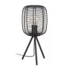 LED lampă, lampă de masă, decorativ lampă,lampadar, E27-es cu soclu, 1x40W, oțel, negru, EGLO, RINROE, 43967