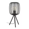 LED lampă, lampă de masă, decorativ lampă,lampadar, E27-es cu soclu, 1x40W, oțel, negru, EGLO, RINROE, 43967