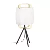EGLO , 43934 , SURFLEET , asztali lámpa , E27 , 1X40W , IP20 , natúr