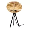 EGLO, 43865, AMSFIELD 1, lampă de masă, E27, 1X40W, IP20, natural