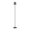 EGLO, 901111, FIORANA, lampadar, E14, 1X7,5W, IP20, cappuccino, auriu