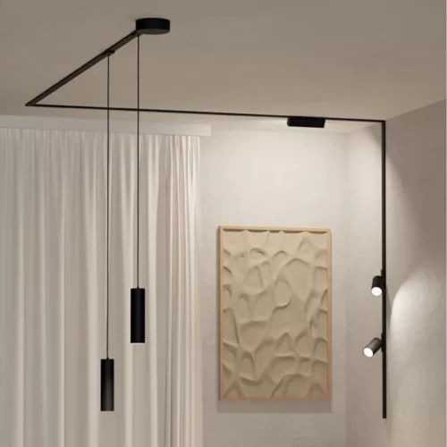 Track light decorativ set cu telecomandă, 1 decorativ, 1 decorativ, 2 decorativ, negru, EGLO TPLUS, 901753