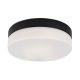 Rábalux , 75026 , Gaelo , Fürdőszobai lámpa , fekete , IP44 , 4000K , 18W