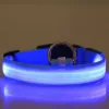 LED-es kutyanyakörv , állítható , elemes , vízálló , 30cm , S-es , kék