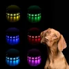 LED-es kutyanyakörv , állítható , USB , tölthető , vízálló , 35cm , S-es , tappancsos, kék