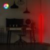 Modern állólámpa alumínium házzal, 120 cm magas, fekete elektrosztatikus bevonattal, 120 cm LED szalaggal, C típusú foglalattal, A+ energiahatékony | Stílusos és funkcionális világítás