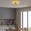 Elegáns arany csillár, fém test, Ø56 x 16 cm | Nem állítható magasságú, E27 aljzat, max 40W | Tökéletes nappaliba és étkezőbe, stílusos kialakítás