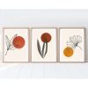 Elegáns dekoratív keretes MDF festmények (3 db), 50 x 70 cm | 100% MDF és tömörfa keret, 2,5 cm vastag | Tökéletes a lakberendezés és a művészet szerelmeseinek