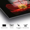 Lenyűgöző edzett üvegfestmény - Virágzó piros pipacsvirág, 70 x 100 cm | 100% edzett üveg (4 mm) | Elegáns falfestmény otthoni és irodai dekorációhoz