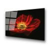 Lenyűgöző edzett üvegfestmény - Virágzó piros pipacsvirág, 70 x 100 cm | 100% edzett üveg (4 mm) | Elegáns falfestmény otthoni és irodai dekorációhoz