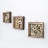 Elegáns dekoratív keretes MDF festmények (3 db), 15 x 15 cm | 100% MDF és fenyőfa keret, UV-nyomtatott | Tökéletes a lakberendezés és a művészet szerelmeseinek