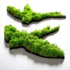 Kézzel készített dekoratív fém fali kiegészítő készlet (5 db) zöld színben, 19 x 18 cm - 19 x 11 cm | 100% MDF/MOSS, 6 mm vastag | Egyedi fali művészet otthoni dekorációhoz