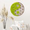 Kézzel készített dekoratív falkiegészítő, zöld és barna, 44 x 1 x 44 cm | 100% MDF/MOSS, 9 mm vastag | Egyedi dizájn természetes variációkkal a lakberendezéshez