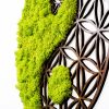 Kézzel készített dekoratív falkiegészítő, zöld és barna, 44 x 1 x 44 cm | 100% MDF/MOSS, 9 mm vastag | Egyedi dizájn természetes variációkkal a lakberendezéshez