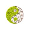 Kézzel készített dekoratív falkiegészítő, zöld és barna, 44 x 1 x 44 cm | 100% MDF/MOSS, 9 mm vastag | Egyedi dizájn természetes variációkkal a lakberendezéshez