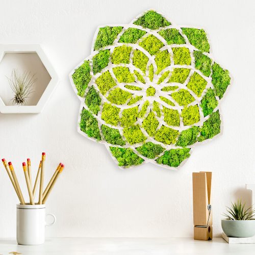 Stílusos dekoratív falkiegészítő, zöld-fehér, 44 x 1,6 x 44 cm | 100% MDF/MOSS, 9 mm Vastagság | Tökéletes modern lakberendezéshez és hangsúlyos falakhoz