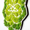 Stílusos dekoratív falkiegészítő, zöld-fehér, 44 x 1,6 x 44 cm | 100% MDF/MOSS, 9 mm Vastagság | Tökéletes modern lakberendezéshez és hangsúlyos falakhoz