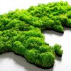 Kézzel készített dekoratív fém falkiegészítő, zöld, 70 x 32 cm | 100% MDF/MOSS, 6 mm vastag | Egyedi dizájn, tökéletes otthoni dekorációhoz és kiemelő falakhoz