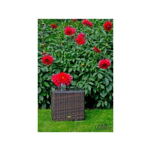 Bello kisasztal 40*40 cm-es rattan barna színű