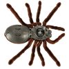 Távirányítású TARANTULA pók + PILOT