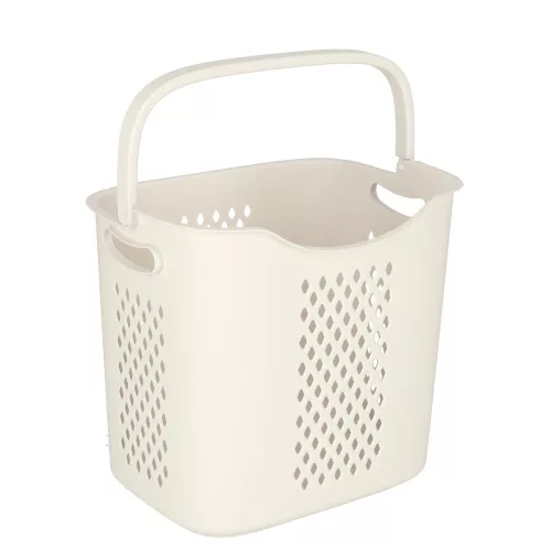 Articol, articol, dupla organizator, articol