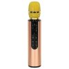 Bluetooth vezeték nélküli karaoke mikrofon arany