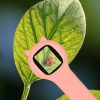 Optikai mikroszkóp, digitális nagyító, 500x, 2 megapixeles, rózsaszín